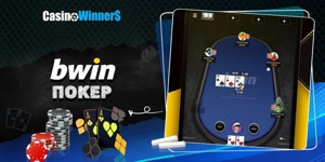 Article Card Image for Bwin Poker