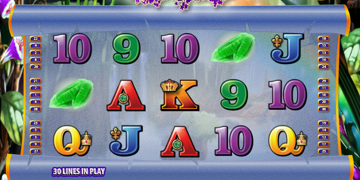 Slot Brand Image for Cash Wizard