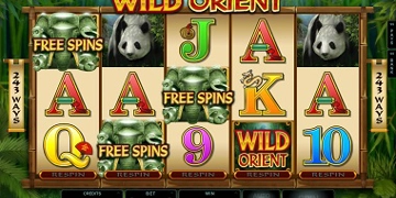 Slot Brand Image for Wild Orient