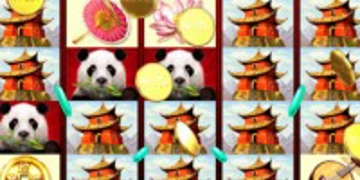 Slot Brand Image for Wild Panda