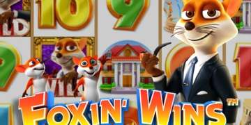 Slot Brand Image for Foxin Wins