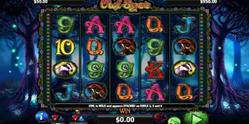 Slot Brand Image for Owl Eyes