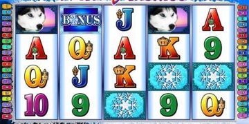 Slot Brand Image for Wild Huskies