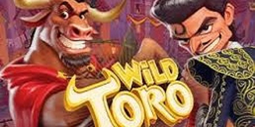 Slot Brand Image for Wild Toro