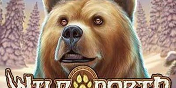 Slot Brand Image for Wild North