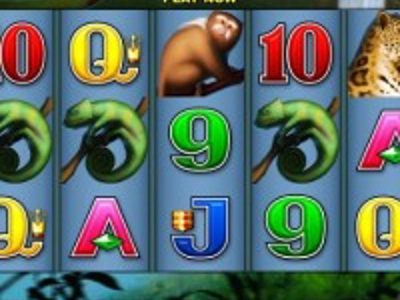 Slot Brand Image for 2can