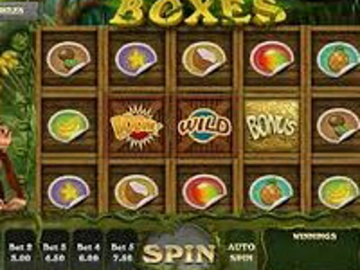 Slot Brand Image for Fruit Boxes
