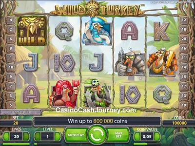 Slot Brand Image for Wild Turkey