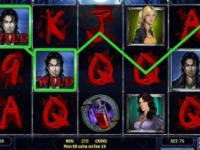 Slot Brand Image for Wild Blood