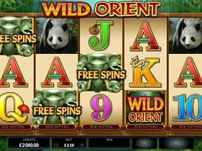 Slot Brand Image for Wild Orient