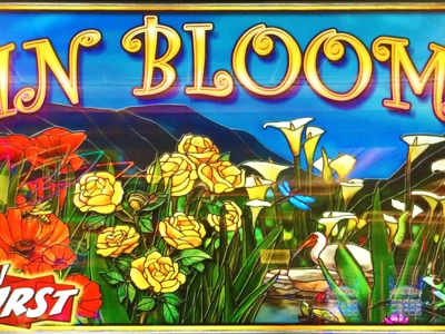 Slot Brand Image for In Bloom