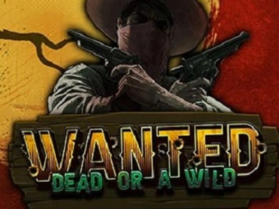 Slot Brand Image for Wanted Dead or a Wild