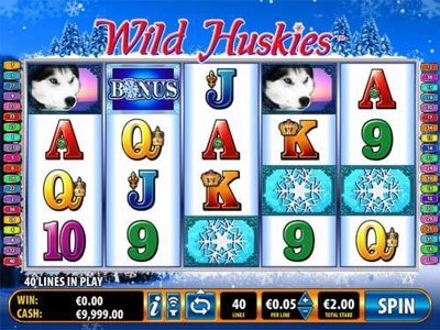 Slot Brand Image for Wild Huskies