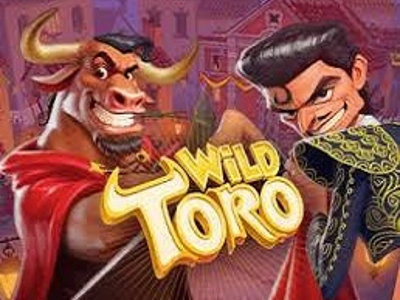 Slot Brand Image for Wild Toro