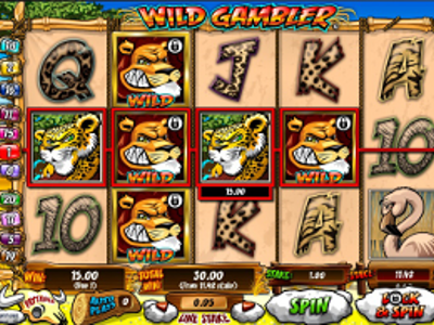 Slot Brand Image for Wild Gambler