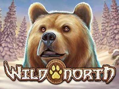 Slot Brand Image for Wild North