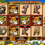 Wild Gambler Φρουτάκι