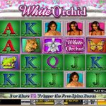 White_Orchid_Slot