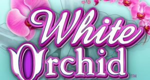 white-orchid-slots-game
