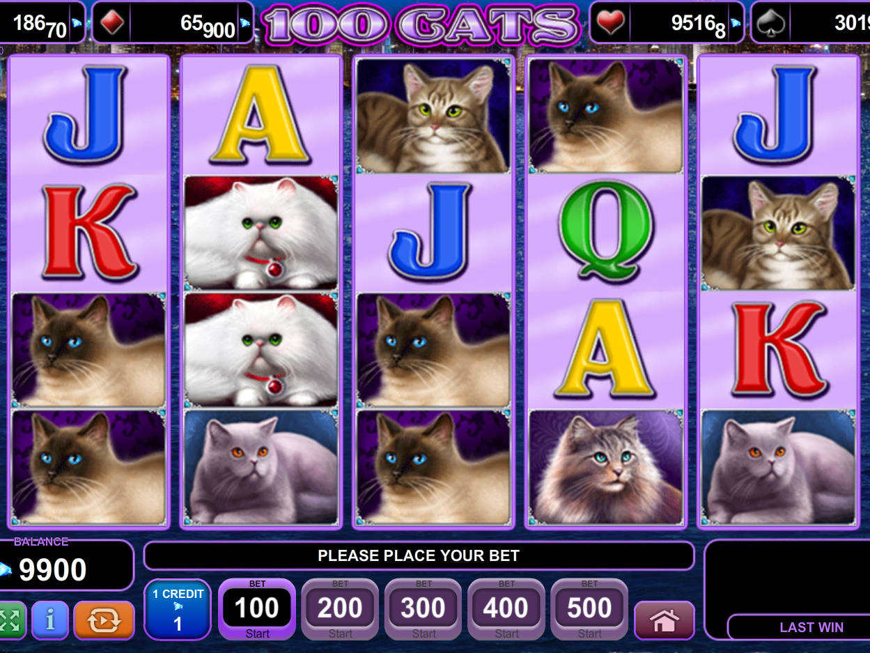 Игровые автоматы cat casino cat play pw. Кошка в игровом автомате. Слот с кошками. Cat Casino игровые автоматы. Игра слоты кошки.